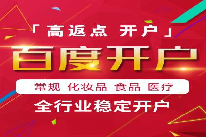 SEM优化策略：案例解读成功之道